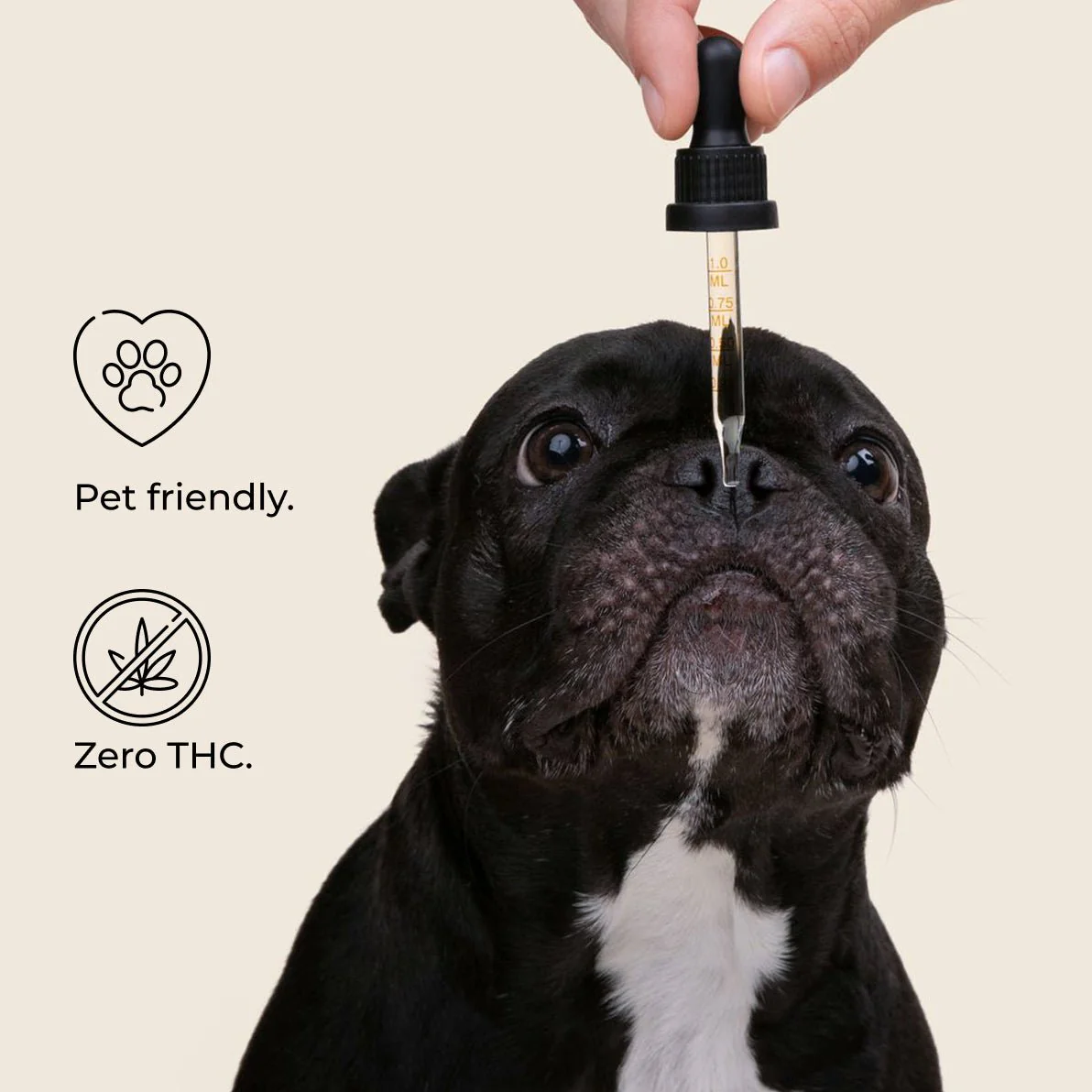 Pet CBD Oil Tincture - Image 3